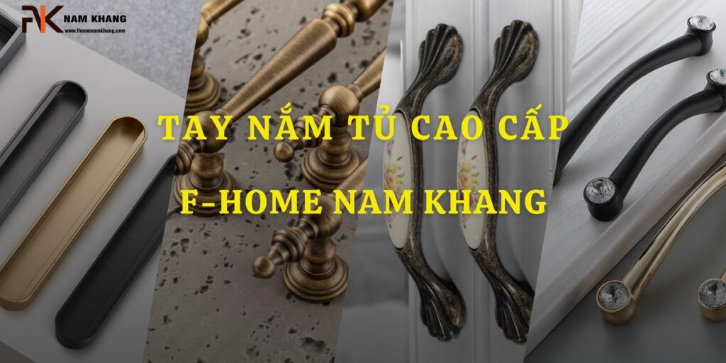 tay nam tu cao cap fhomenamkhang1